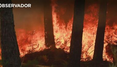 Portugal ativa Mecanismo Europeu de Proteção Civil após “noite extremamente complexa” e pede 4 aviões Canadair