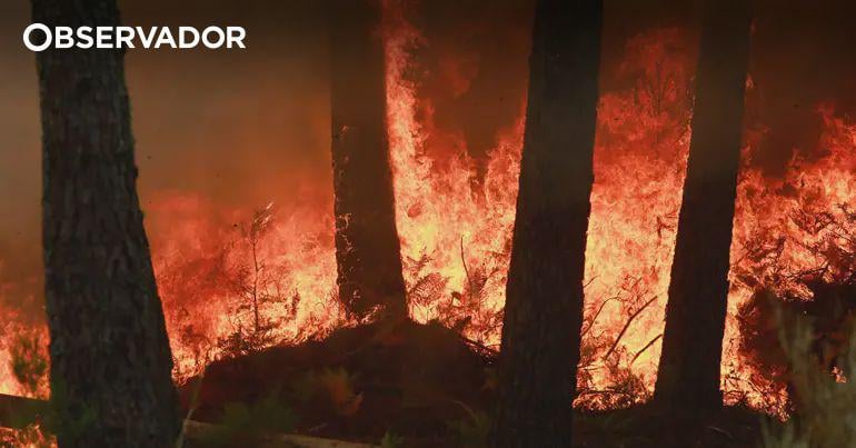 Portugal ativa Mecanismo Europeu de Proteção Civil após “noite extremamente complexa” e pede 4 aviões Canadair