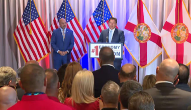 What is the Florida DOGE task force now auditing local governments?