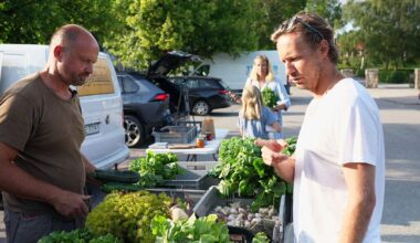 Bakluckehandel håller liv i lokal matproduktion: ”Blev min räddning”