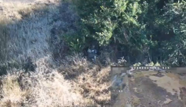 NSFW, very graphic content: Russian soldier hit by multiple drones operated by the Wormbusters of the 414th UAS Brigade Magyar's Birds. Pokrovsk direction. 13.08.2025