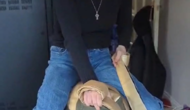 Made an AI dragon you can fly over northern Ireland