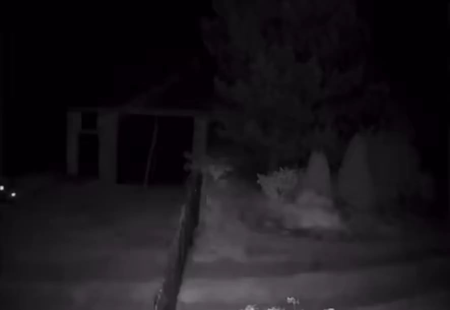 A suspected Russian suicide drone has struck Poland.