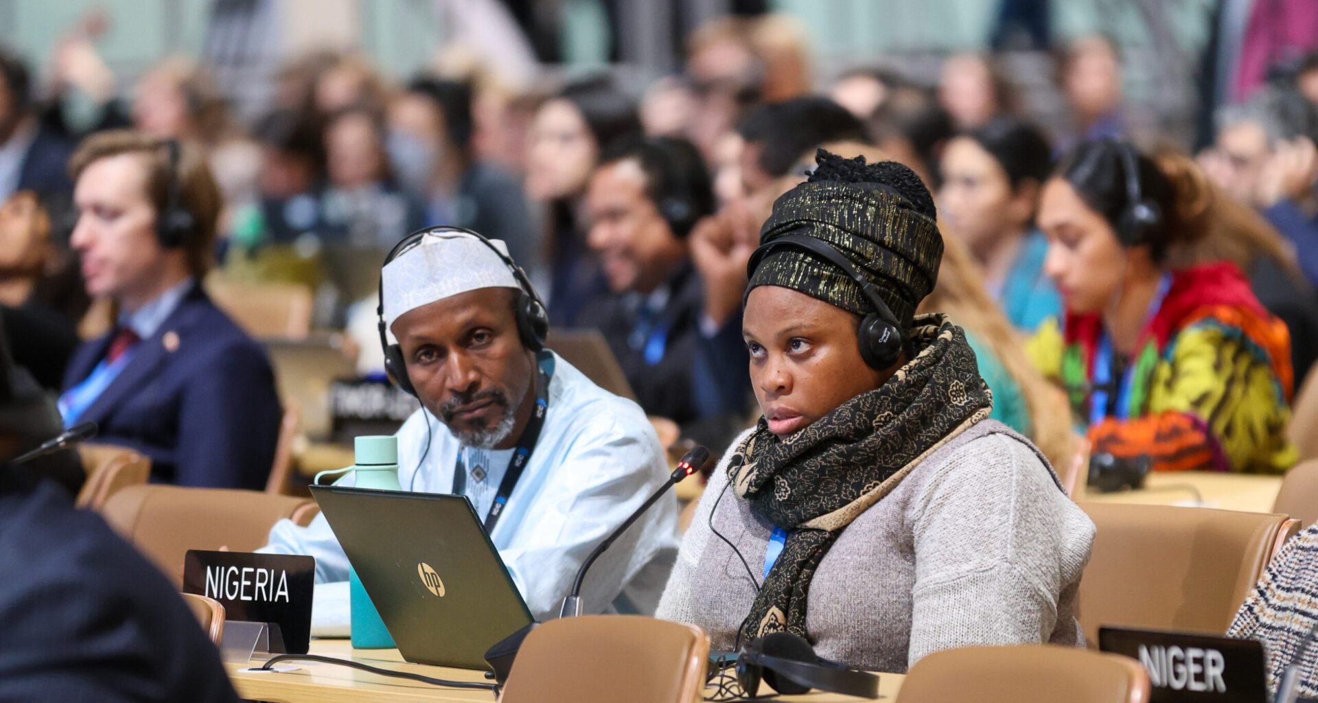Bad timing for leadership change at Nigeria's climate council