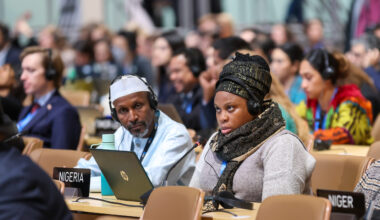 Bad timing for leadership change at Nigeria's climate council