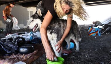 4 billion people experienced a whole extra month of extreme heat in the past year. In many areas of the tropics, people saw more than 100 additional days of extreme heat.