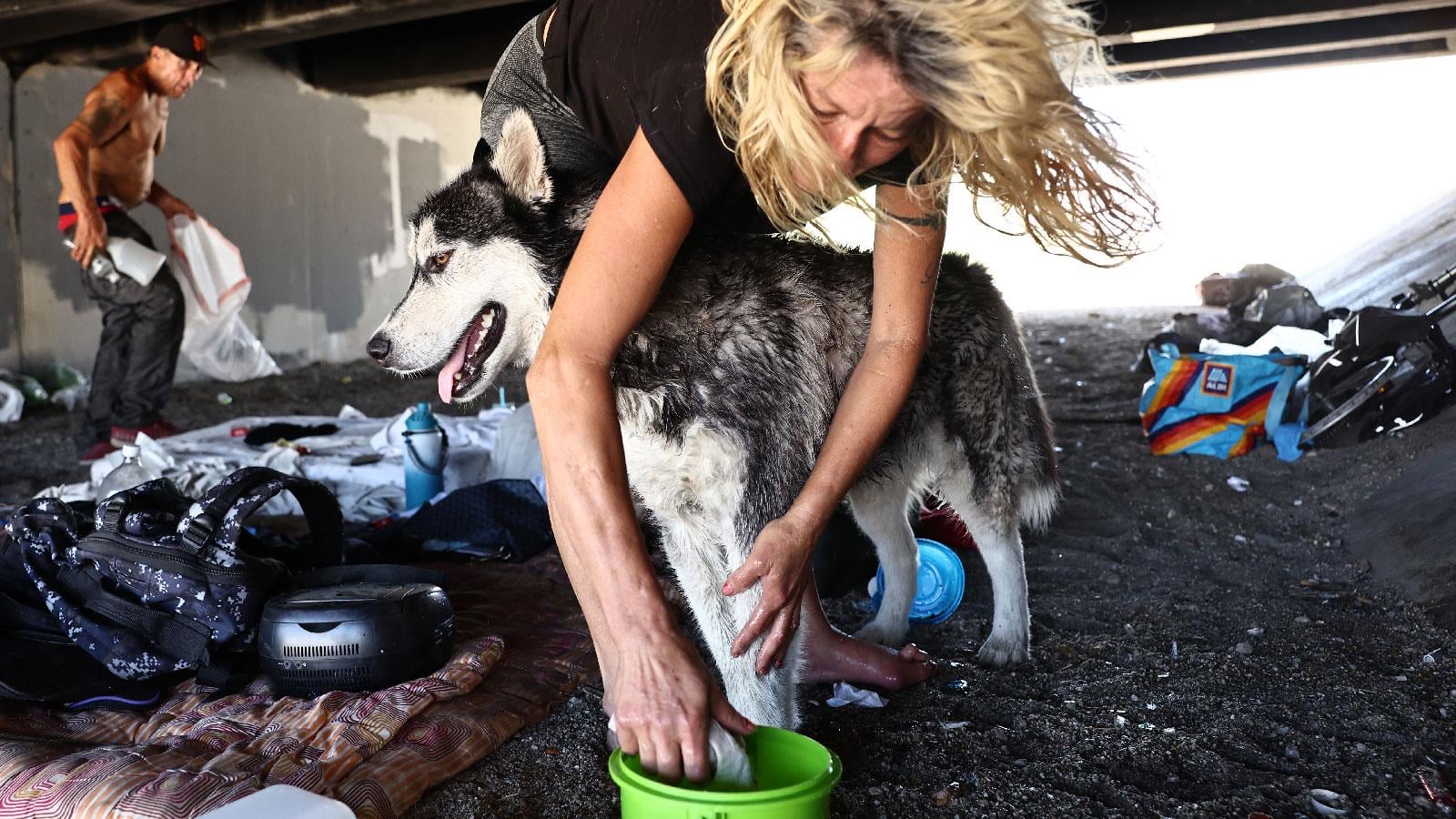 4 billion people experienced a whole extra month of extreme heat in the past year. In many areas of the tropics, people saw more than 100 additional days of extreme heat.