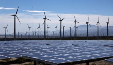 Trump's Attack on Wind, Solar Cuts Deeper Than Industry Expected