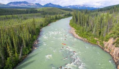 Warming rivers are starving the Arctic Ocean of usable nitrogen