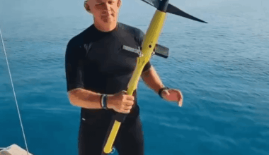 Kann jemand daraus ein Meme basteln? Das ist doch ein Pedalo fürs Wasser, oder nicht?