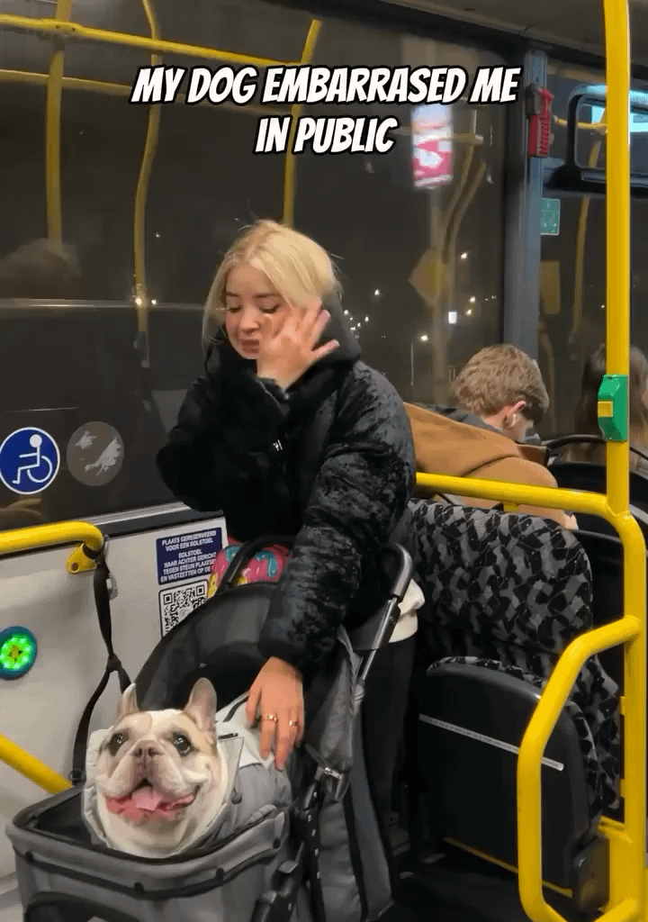 Just your average Stephen Nolan caller