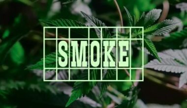 Soudce vysvětluje proč pěstitel marihuany pro osobní užití proti chronické bolesti dostal 8 let a pedofilové dostávají jen podmínku