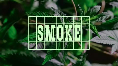 Soudce vysvětluje proč pěstitel marihuany pro osobní užití proti chronické bolesti dostal 8 let a pedofilové dostávají jen podmínku