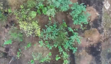 According to the Ukrainian 3rd Operational Brigade "Spartan", Russia started using women for their meat assaults on Pokrovsk. [Graphic content, NSFW]