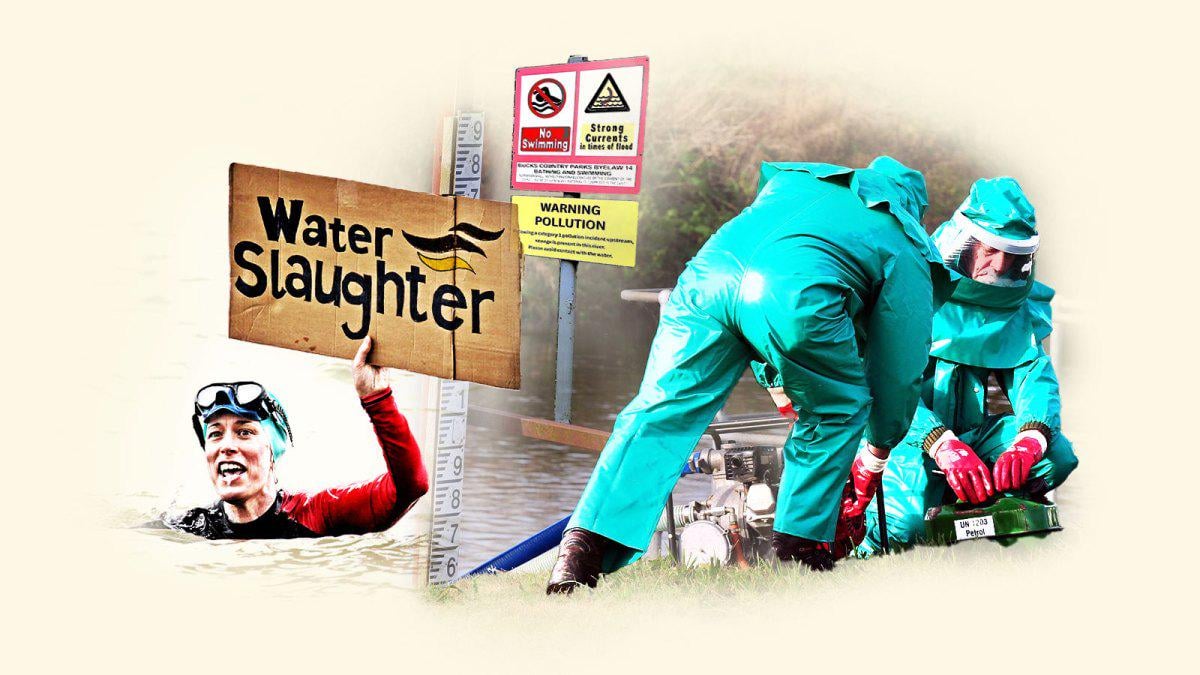 Water firms cause more than 100 potentially illegal sewage spills a day