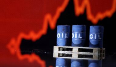 india-russia oil trade, india-russia oil, russian crude oil, india-russia relations, trump tariffs, india-russia oil imports explained, economy news