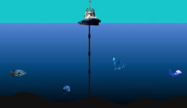 How disturbing the deep sea could worsen the climate crisis. The seafloor and the enormous amounts of carbon stored there are threatened by disturbances, such as bottom fishing and deep-sea mining.