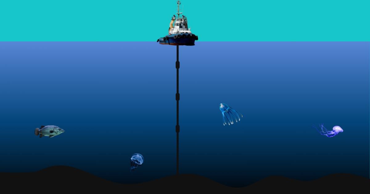 How disturbing the deep sea could worsen the climate crisis. The seafloor and the enormous amounts of carbon stored there are threatened by disturbances, such as bottom fishing and deep-sea mining.