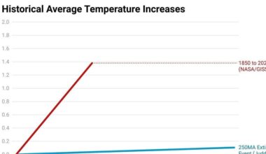 We Made a Graph | Here at Climate Town we almost never make our own graphs. But, these are not normal times. And so we have officially generated one simple and quite striking (beautiful even?) graph…