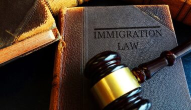 Better Tools, Fewer Raids: The Digital Solution to Illegal Immigration | American Enterprise Institute