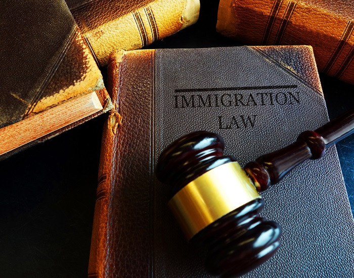 Better Tools, Fewer Raids: The Digital Solution to Illegal Immigration | American Enterprise Institute