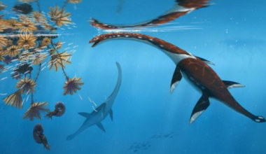 New 183 Million-Year-Old Marine Reptile Identified in Germany Is Oldest Known in the Area