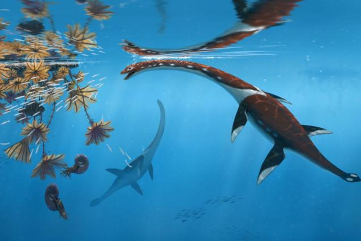 New 183 Million-Year-Old Marine Reptile Identified in Germany Is Oldest Known in the Area