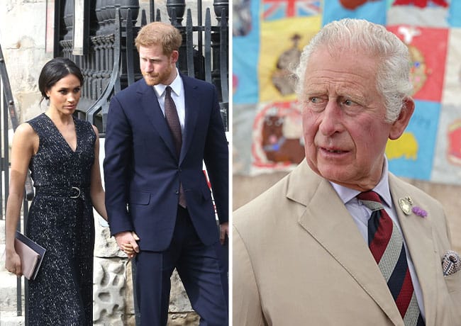 Prince Harry and Meghan Markle and King Charles
