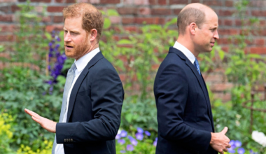 Prince Harry begs Prince William: 'Let me come home