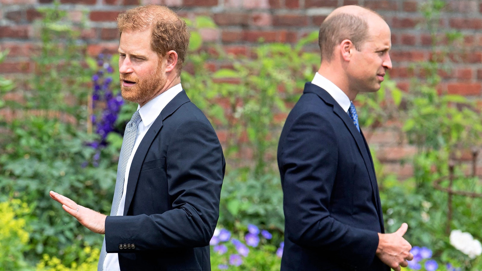 Prince Harry begs Prince William: 'Let me come home