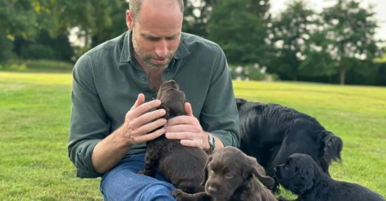 Prince William