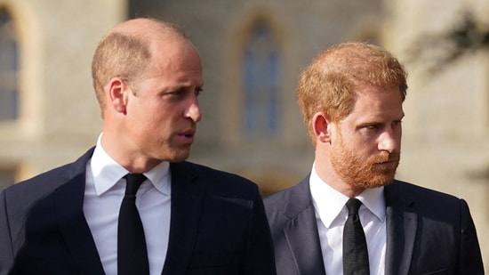 Harry will return to the UK in September, but a royal expert says his fractured bond with William shows no sign of healing despite hopes of seeing King Charles.(AFP)