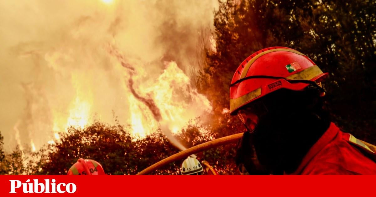 Portugal é o país da União Europeia onde arde maior percentagem do território