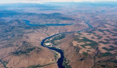 Tribes Condemn Trump for Backing Out of Columbia River Deal for Salmon Recovery