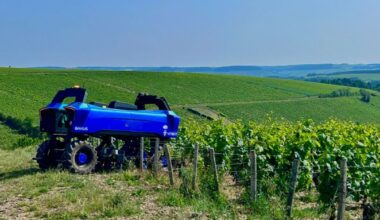 How Burgundy Winemakers Are Battling Climate Change in Their Vineyards