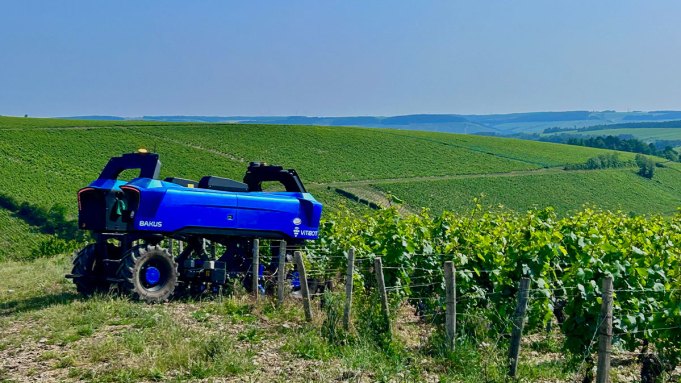 How Burgundy Winemakers Are Battling Climate Change in Their Vineyards