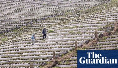 Why our broken food system remains a climate disaster: ‘broiling the planet to stuff our faces’ | Climate crisis