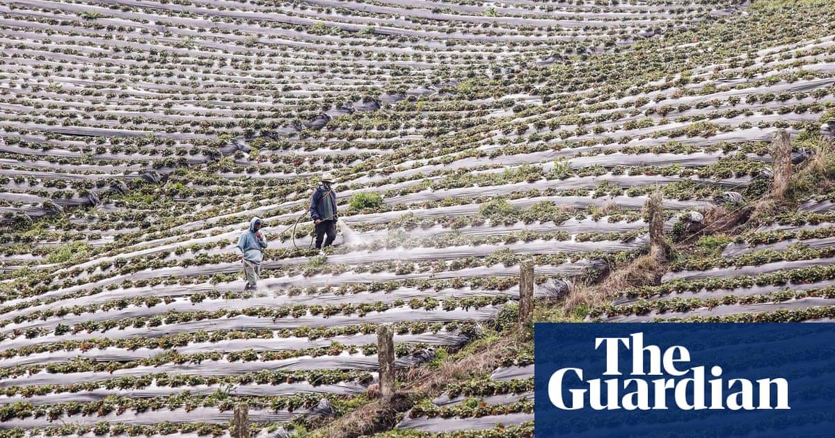 Why our broken food system remains a climate disaster: ‘broiling the planet to stuff our faces’ | Climate crisis