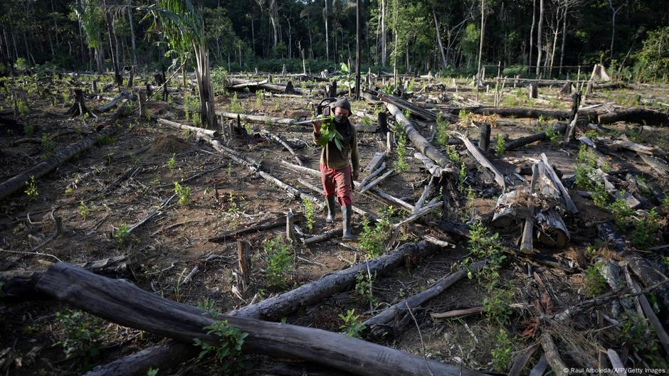 Colombia deforestation surges 43%, Amazon region worst hit