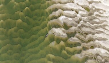 The Societal Impacts of Climate Change: The Phenomenon and Prevalence of Climate Anxiety