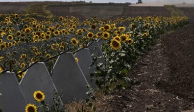 What is Next for Negotiations between Ukraine and Russia?