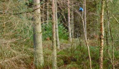 Litter in Scotland – why are we so rubbish?