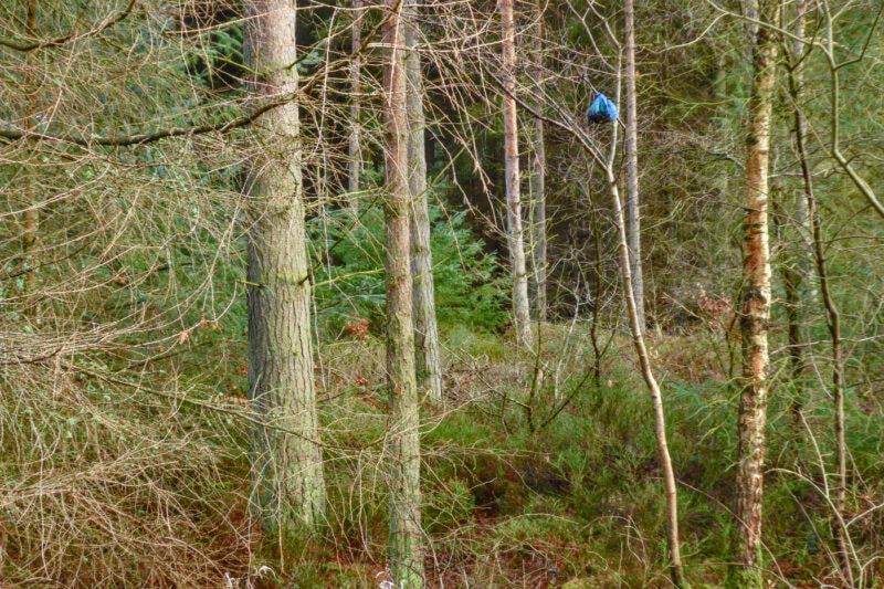 Litter in Scotland – why are we so rubbish?