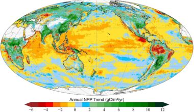Earth Is Getting Greener, But the Oceans Are Losing Life