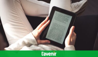 La Belgique en guerre contre le piratage des livres électroniques : une astreinte de 500 000 € menace Proximus, Orange, Starlink d'Elon Musk…
