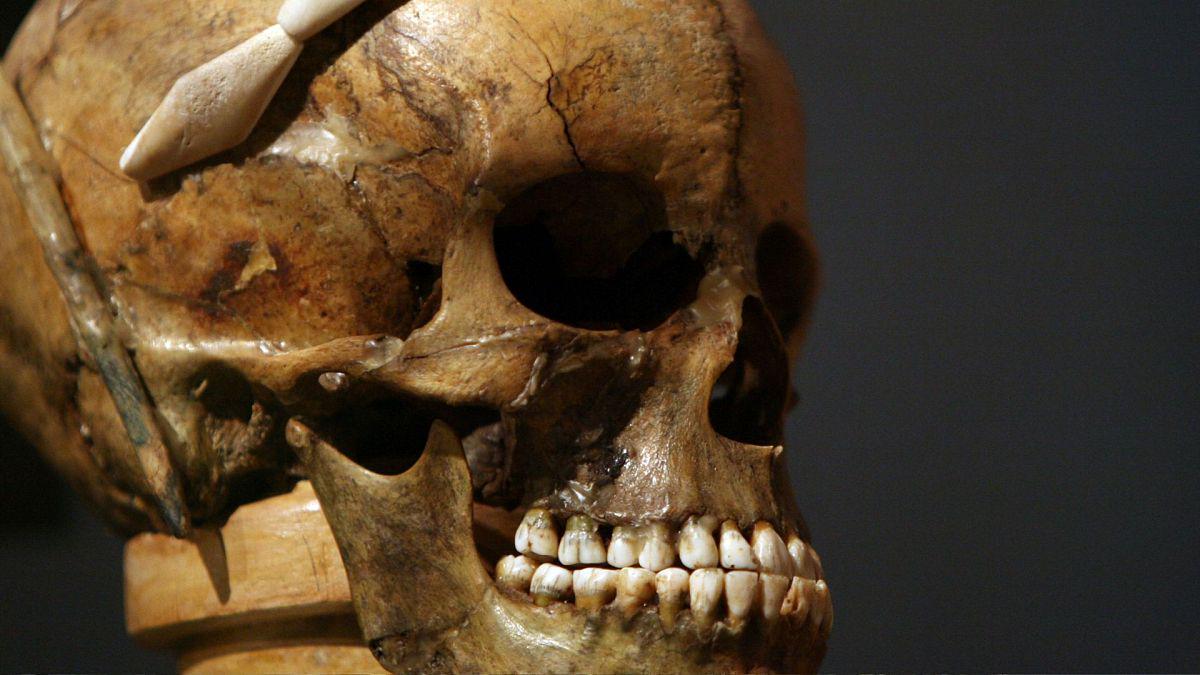 La France restitue trois crânes datant de l'époque coloniale à Madagascar