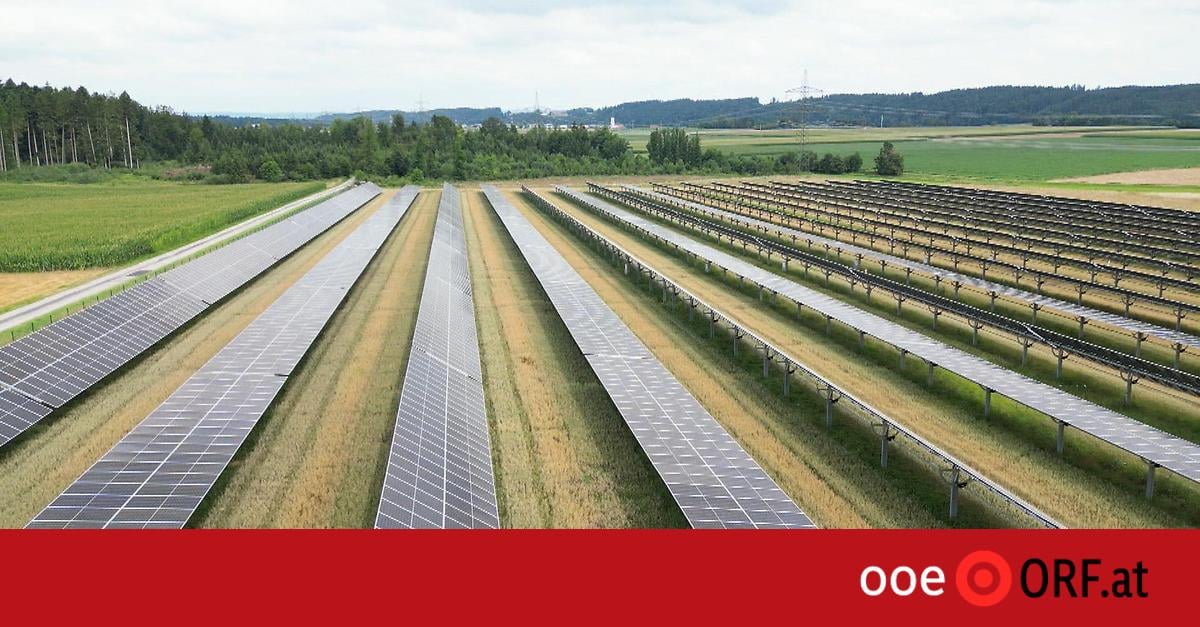 Artikel "Boom by Agri-PVs"