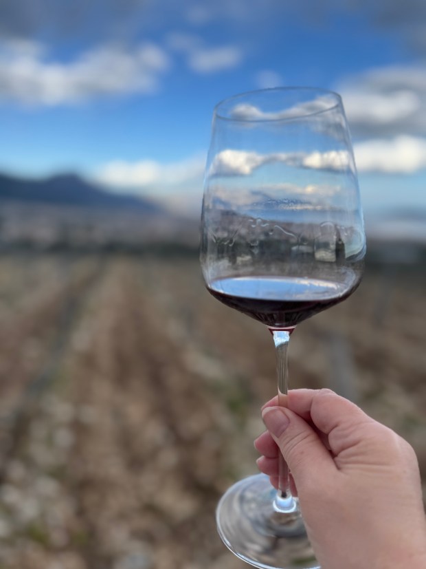 A hand holding a glass of wine with clouds reflected in the glass.