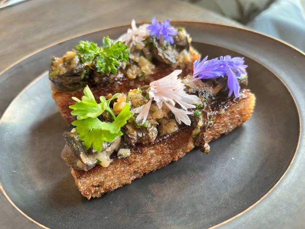 Toast covered in snails and edible flowers