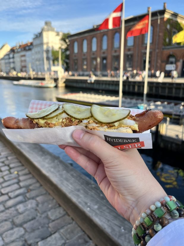 A hot dog is held up with the harbor behind it. There's a Danish flag in the background
